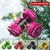 Barbell Personalized Christmas Ornament, Fitness Gifts for Gym Workout Enthusiasts Coach Instructor